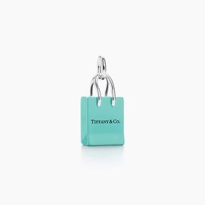 Tiffany & Co Shopping Bag Charm & Clasping Link